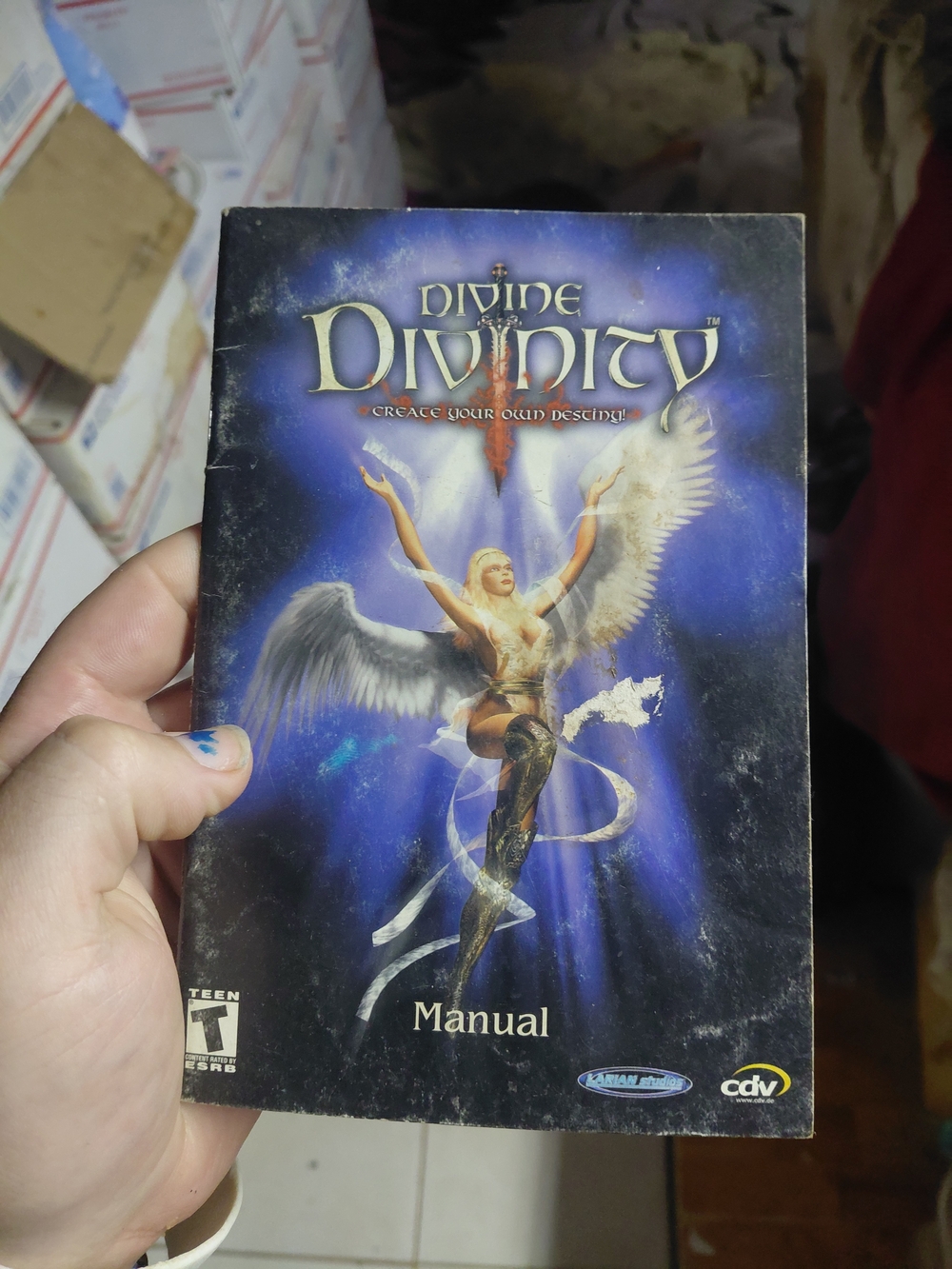 Divine Divinity Game Manual - Blue Cover